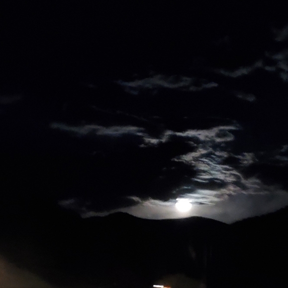 Meet your Posher, Tracy - Picture 1 of 1